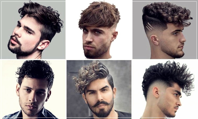 Curly haircuts for men: 100 beautiful trendy looks